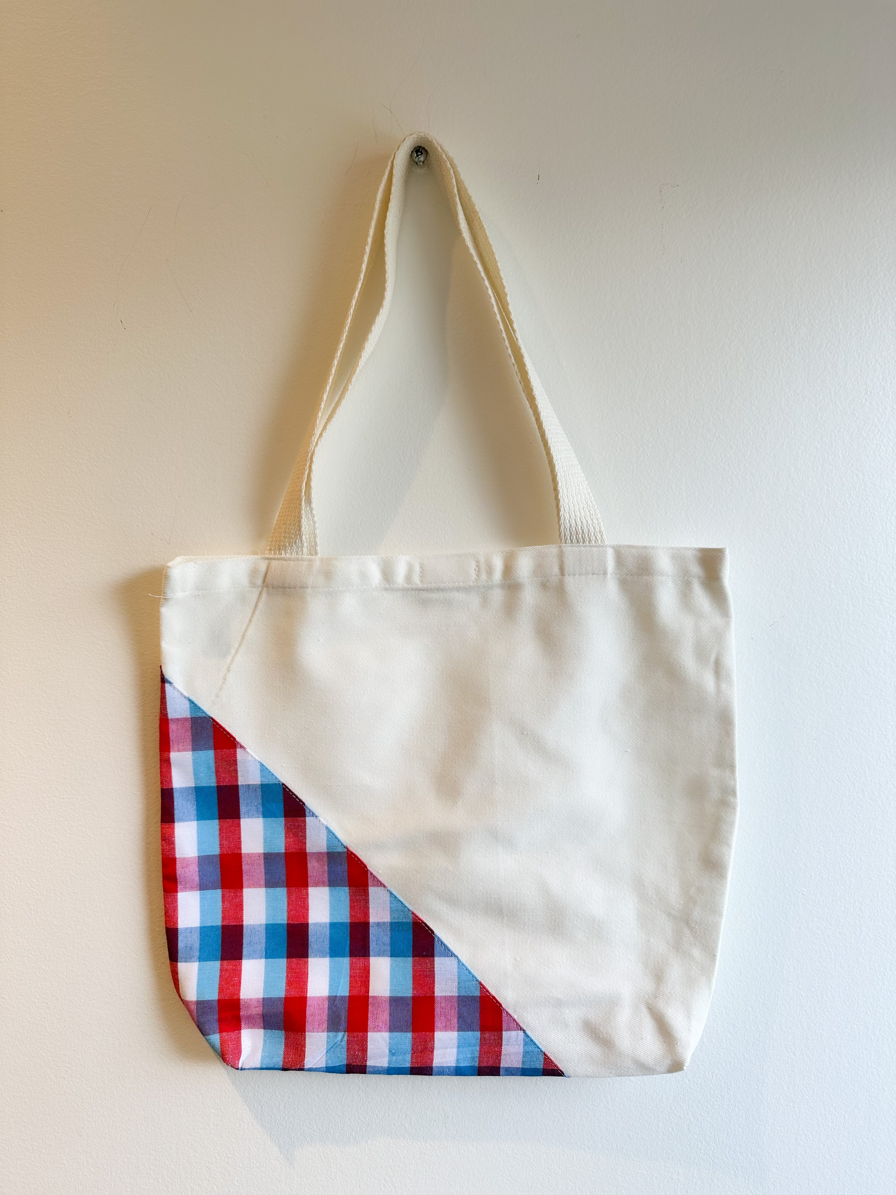 Canvas Bag (Check-Blue/Red)